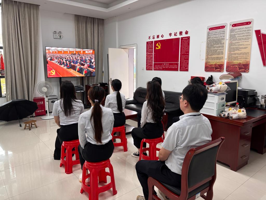开云体育(kaiyun)官方网站ka