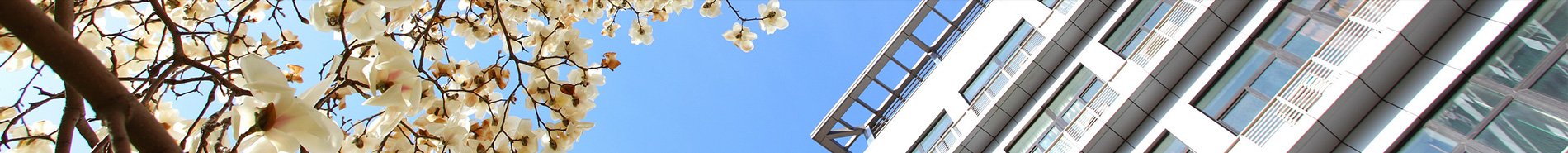 2026年上半年“书香班级”“书香寝